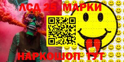 Альфа ПВП Новодвинск