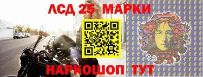 Альфа ПВП Новодвинск